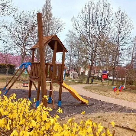 In - Balaton 53551 * زاماردي