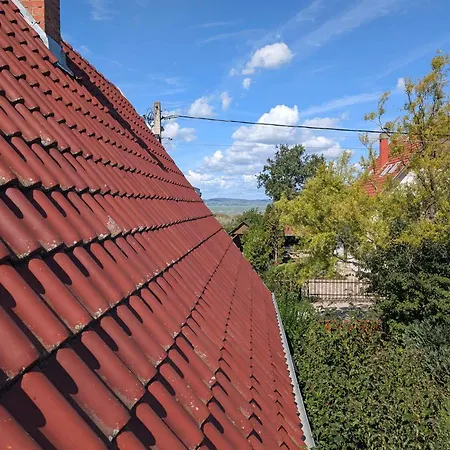 In - Balaton 53551 *