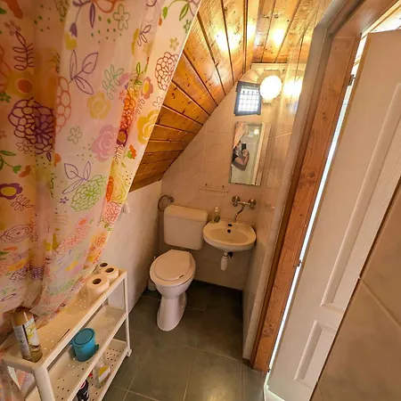 In - Balaton 53551 زاماردي