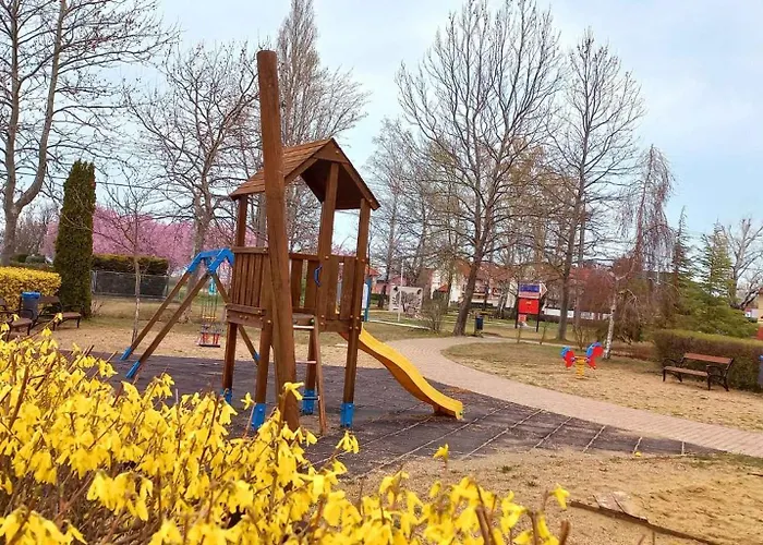 In - Balaton 53551 * זמראדי