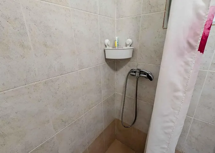 In - Balaton 53551 זמראדי