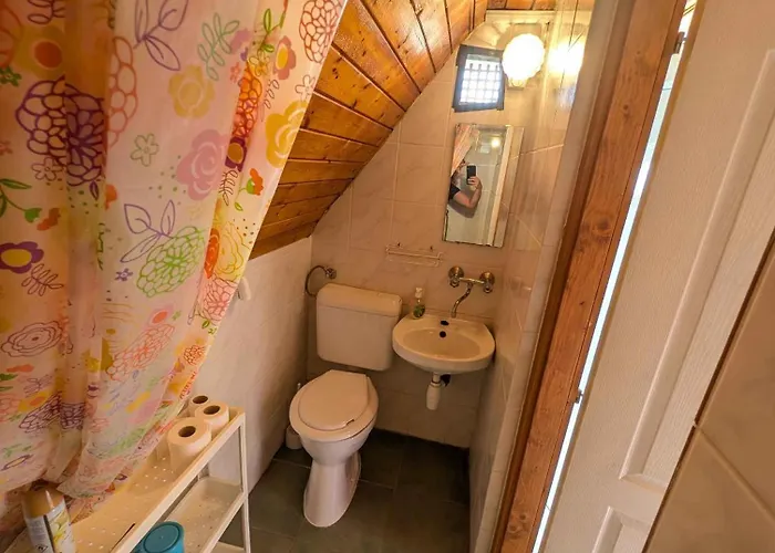 In - Balaton 53551 זמראדי